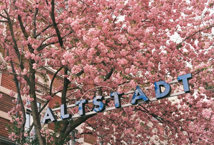 Altstadt und Blueten